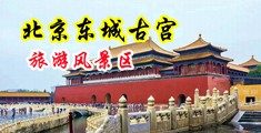 啪的美女流白浆视频中国北京-东城古宫旅游风景区